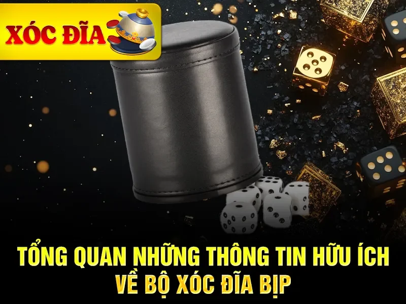 Tổng quan những thông tin hữu ích về bộ xóc đĩa bịp