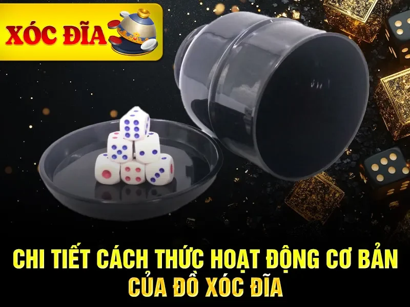 Chi tiết cách thức hoạt động cơ bản của đồ xóc đĩa