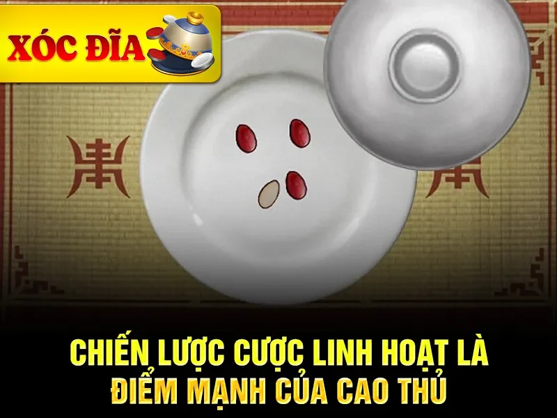 Chiến lược cược linh hoạt là điểm mạnh của cao thủ