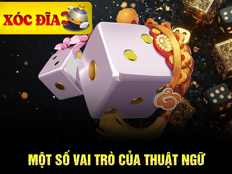 Một số vai trò của thuật ngữ 