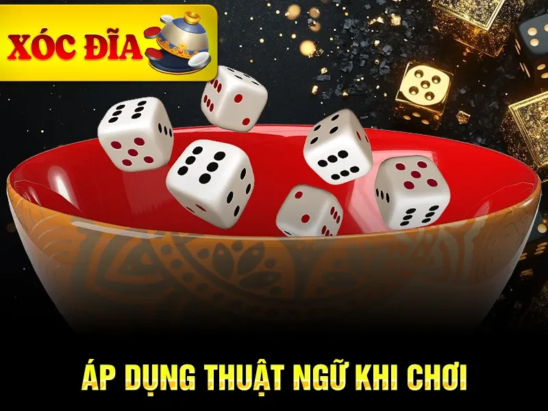 Áp dụng thuật ngữ khi chơi 