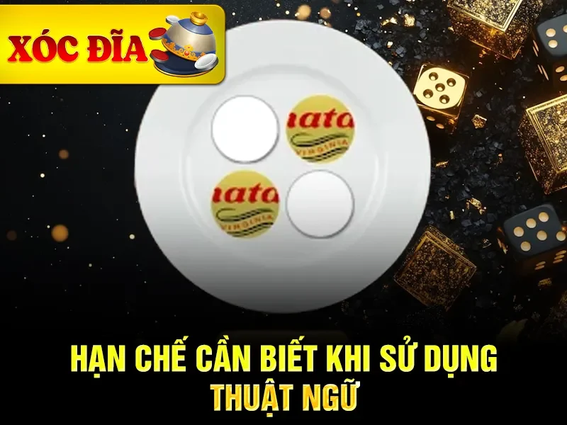 Hạn chế cần biết khi sử dụng thuật ngữ 